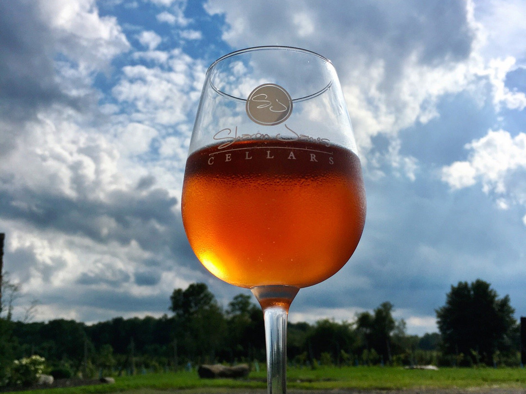 Newbury旅游景点-Sharon James Cellars