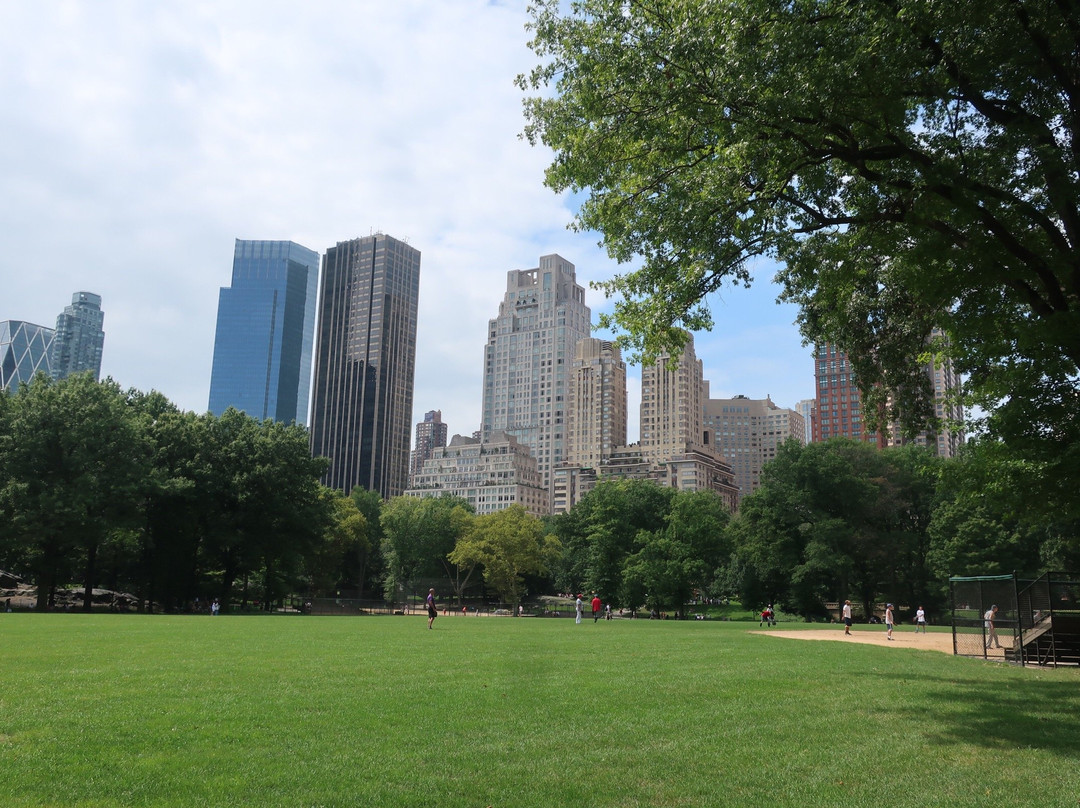 Bike Rental Central Park-纽约市必去景点