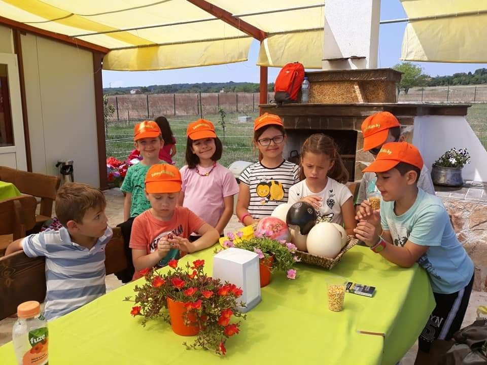 Ostrich Ranch-Ravna Gora必去景点