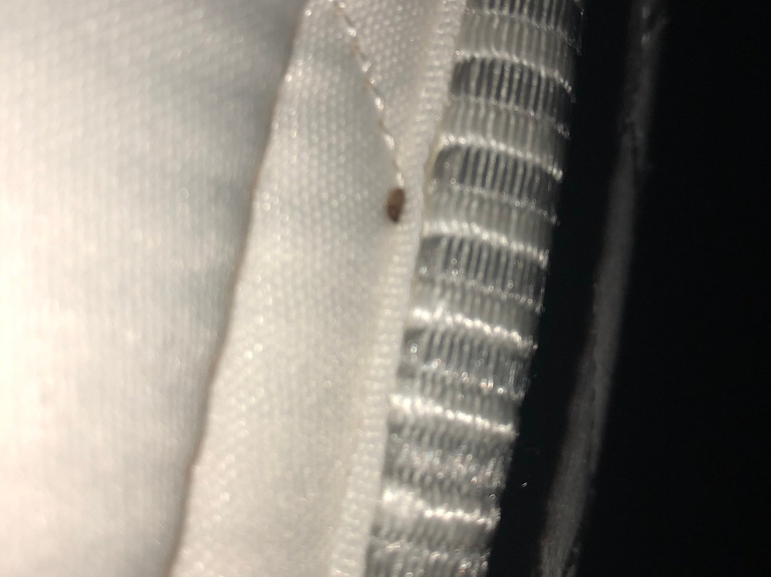 兰辛西费尔菲尔德客栈主图