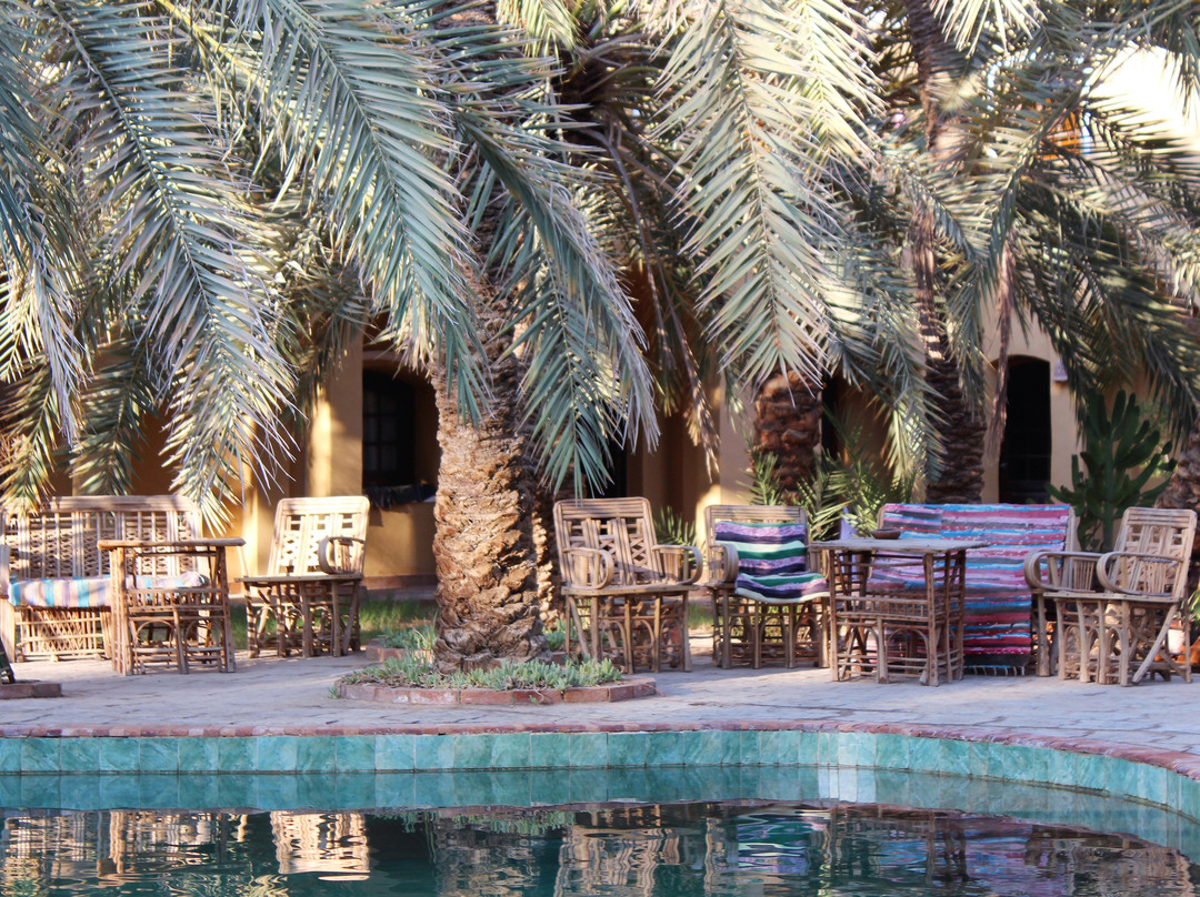 Siwa Safari Gardens Hotel主图