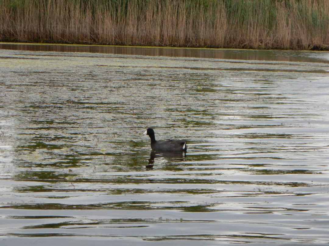 Bluegrass Fish and Wildlife Aera景点图片