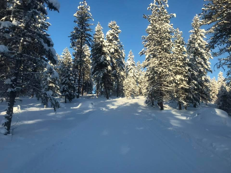 Bear Basin Nordic Center