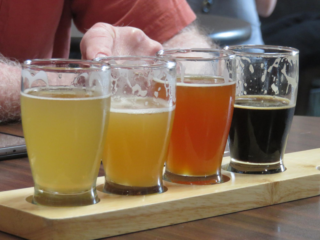 维斯塔旅游景点-Iron Fist Brewing Co