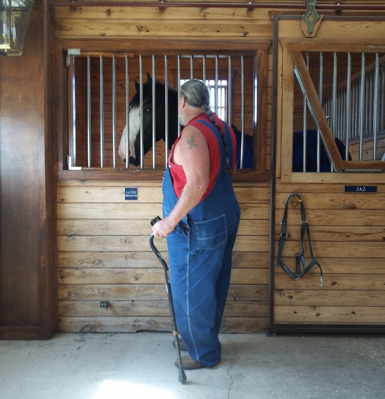 Express Clydesdales-育空必去景点