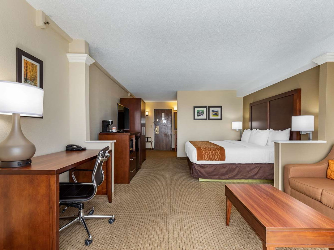 Comfort Inn & Suites主图