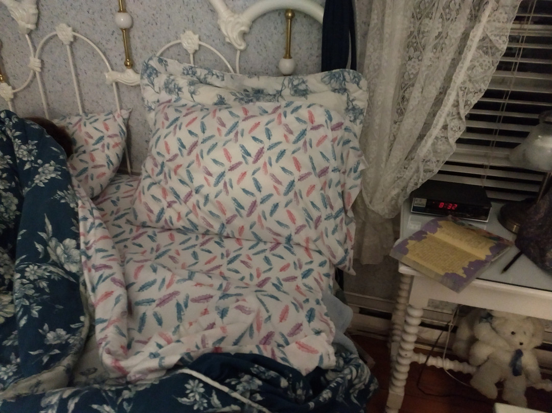 Marshlands Inn主图