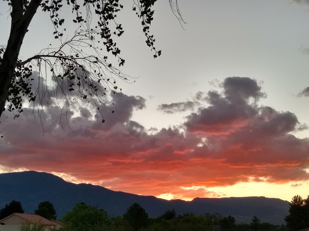 The View Motel主图