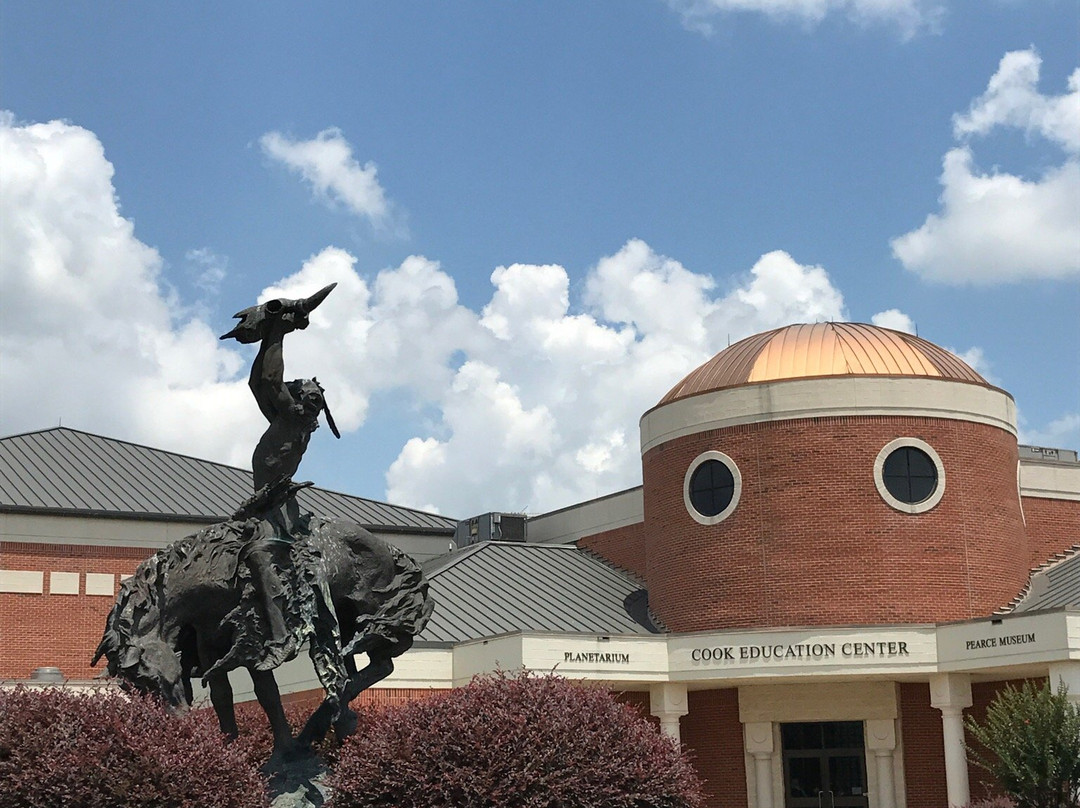 The Pearce Museum at Navarro College景点图片