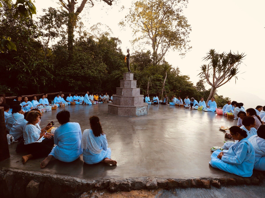 Wat Pa Phu Pha Sung景点图片