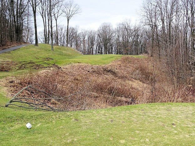 Iron Valley Golf Club景点图片