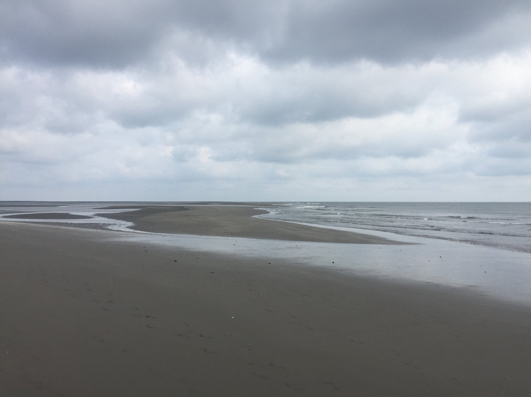 Playa Del Morro-San Andres de Tumaco必去景点