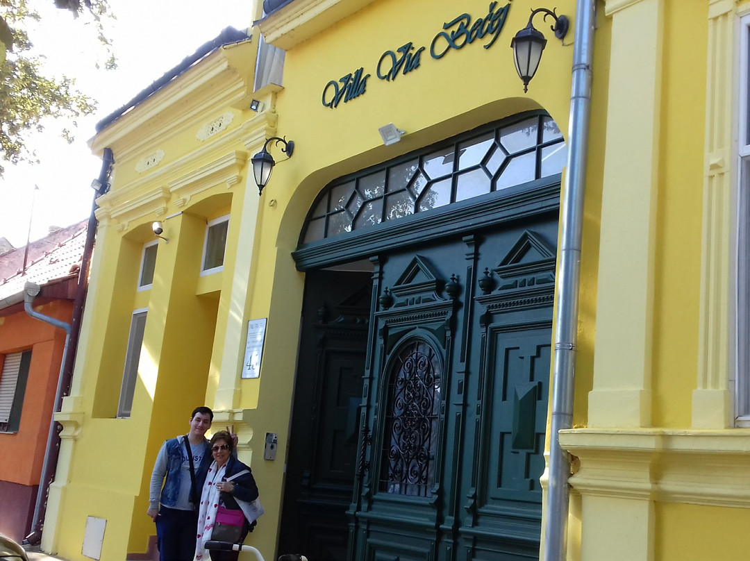 Villa Via Becej主图