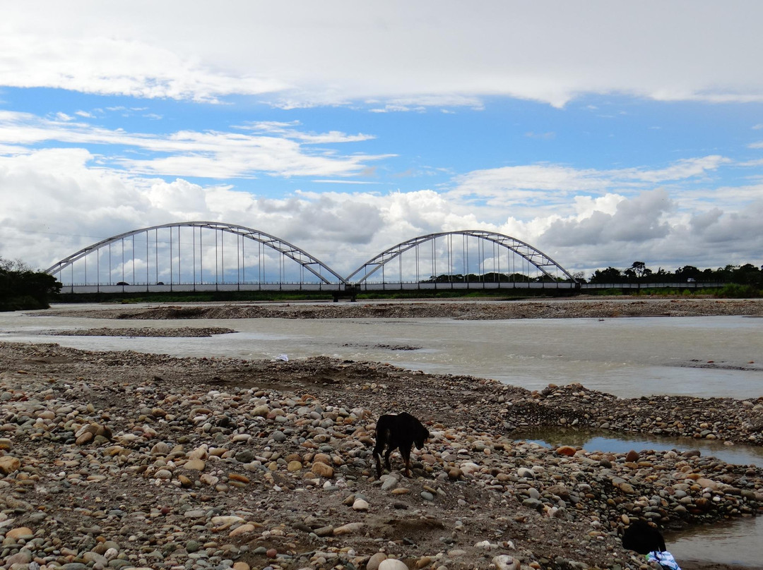 Puente El Alcaravan景点图片