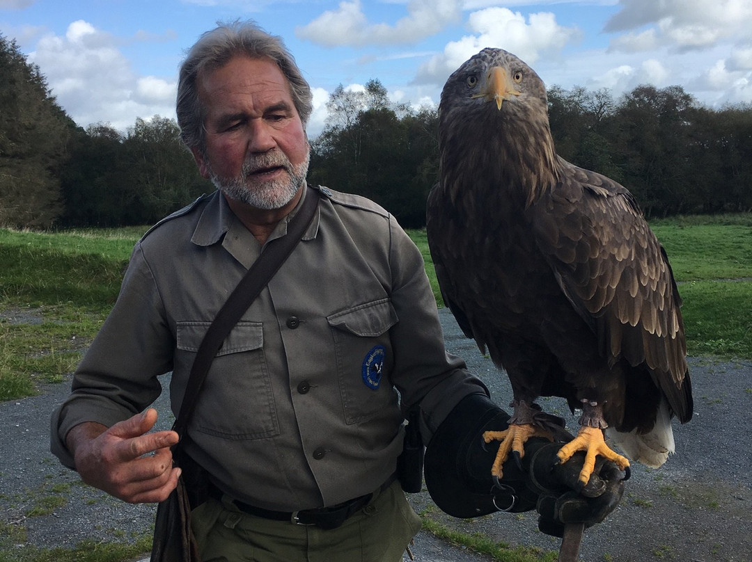 Eagles Flying景点图片