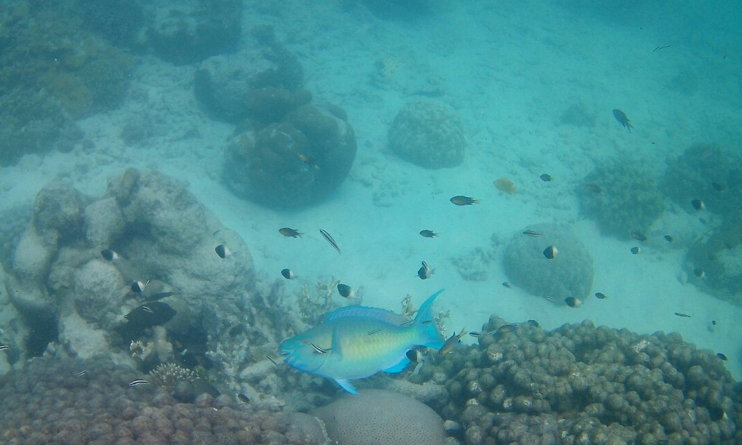 Maziwe Island-Pangani必去景点