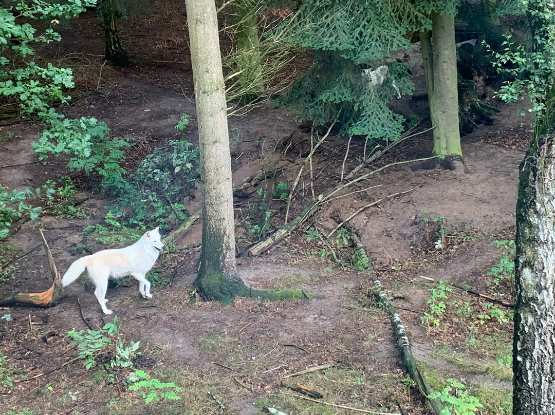 Wolfcenter Dörverden-Doerverden必去景点