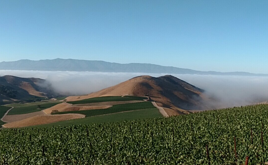 Dierberg Star Lane Vineyards-隆波克必去景点
