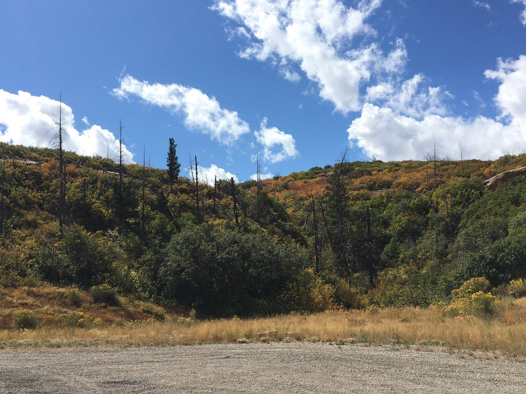 Ruins Road-梅萨维德国家公园必去景点
