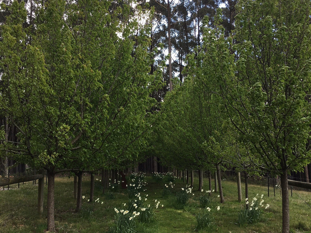 Vue at Jindivick Eco Bed and Breakfast主图