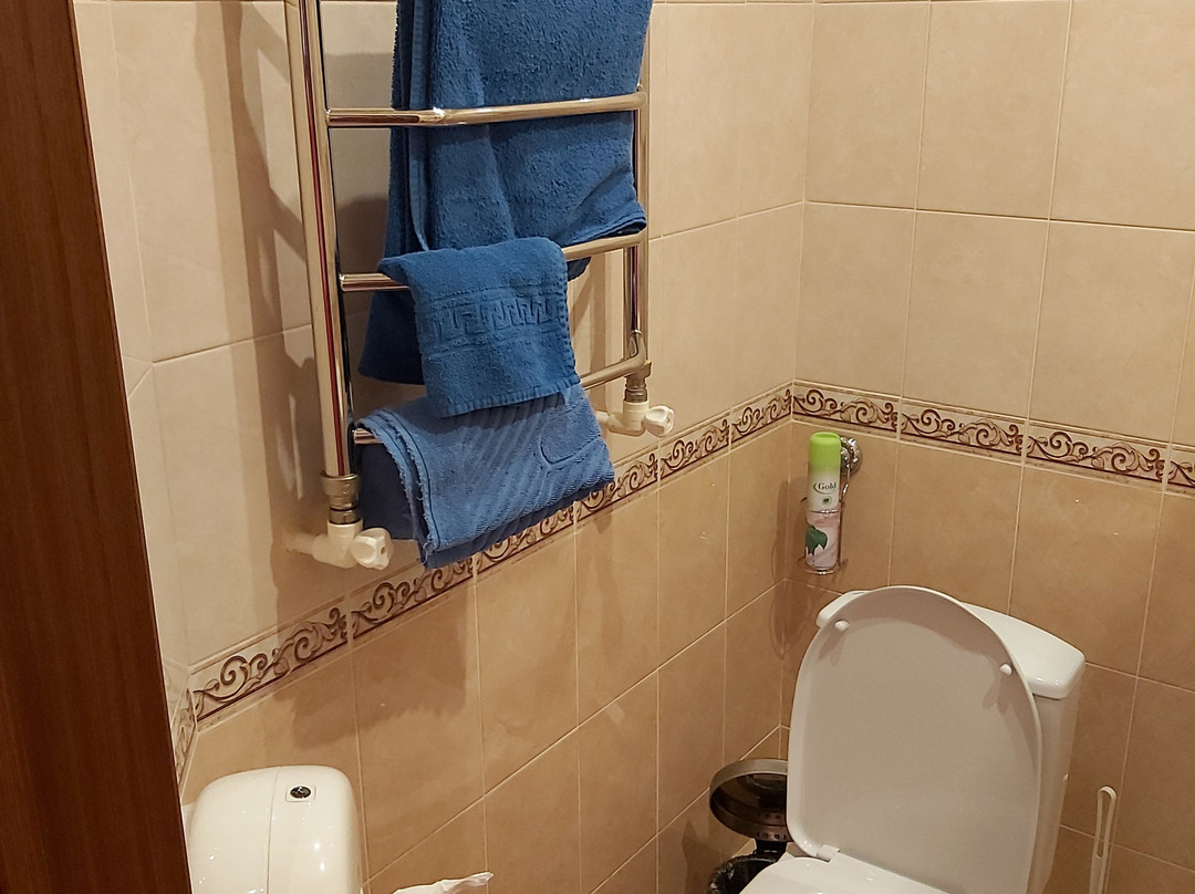 Hotel Teremok Moskovsky主图