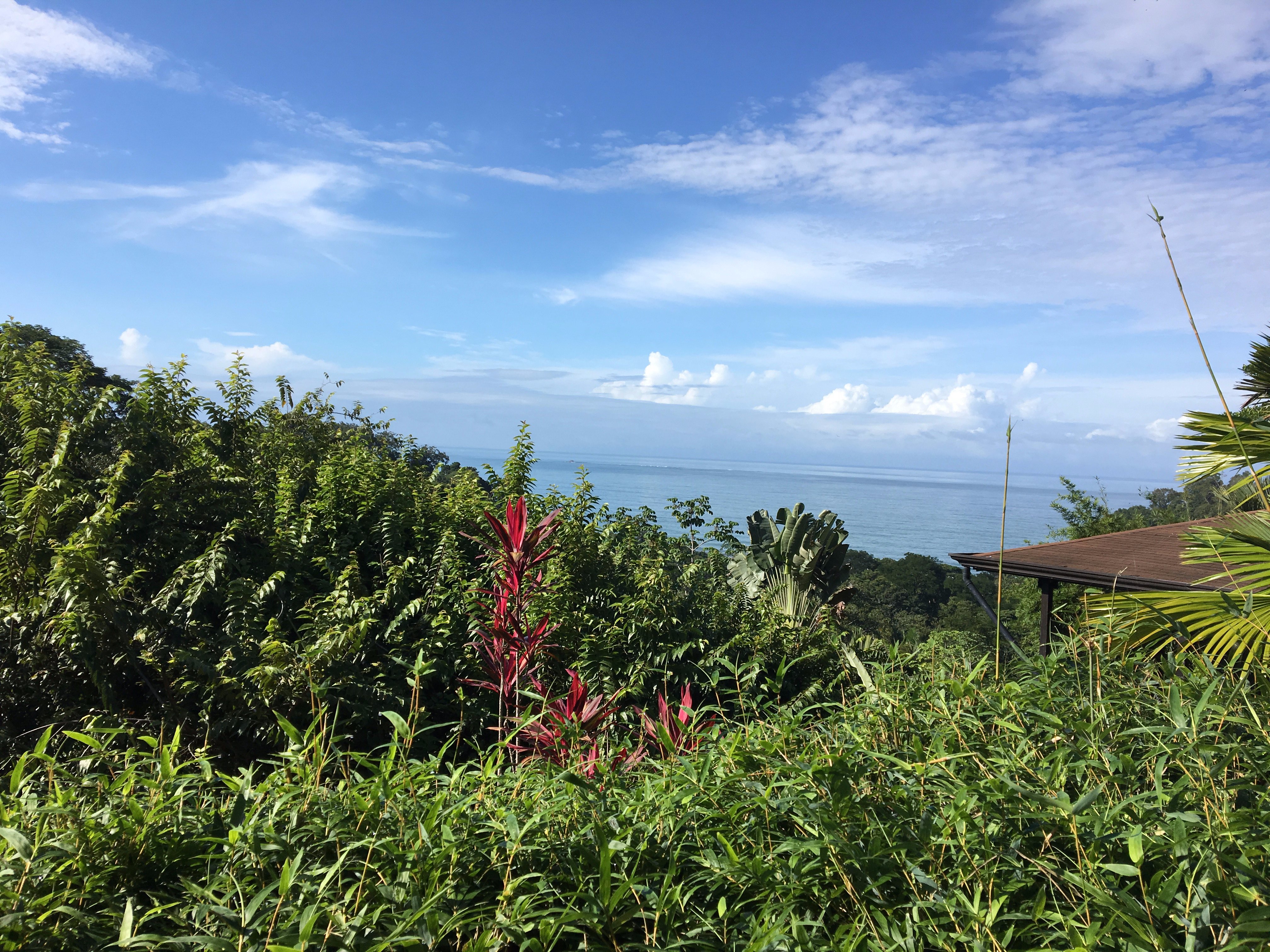 Tiki Villas Rainforest Lodge & Spa-酒店景观