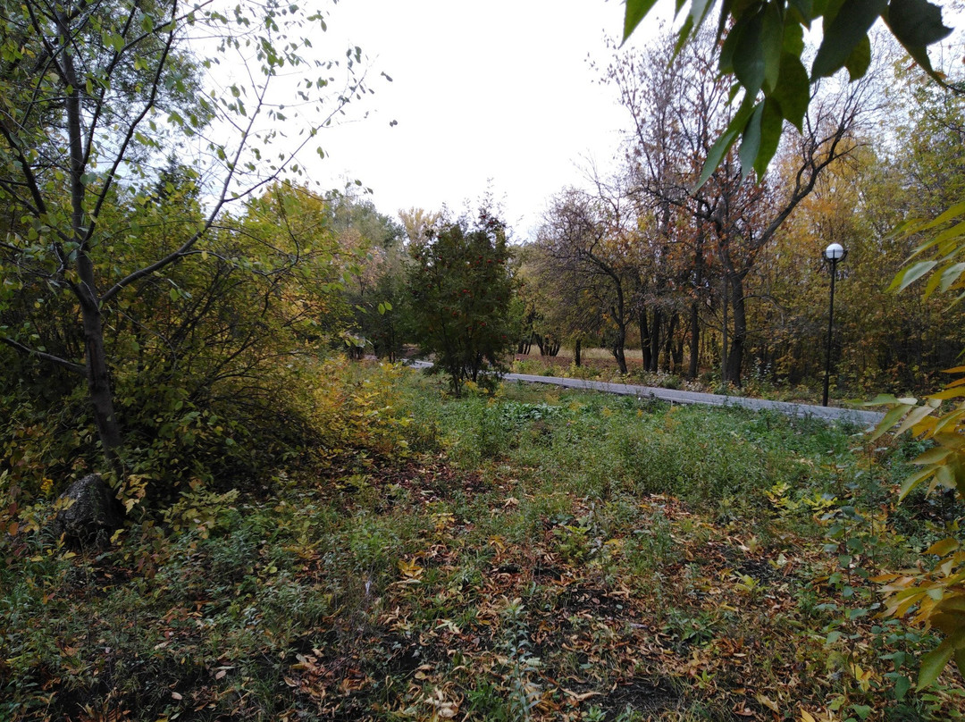Botanical Garden of Samara State University景点图片