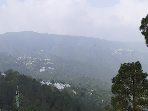 查尔乡村度假村主图