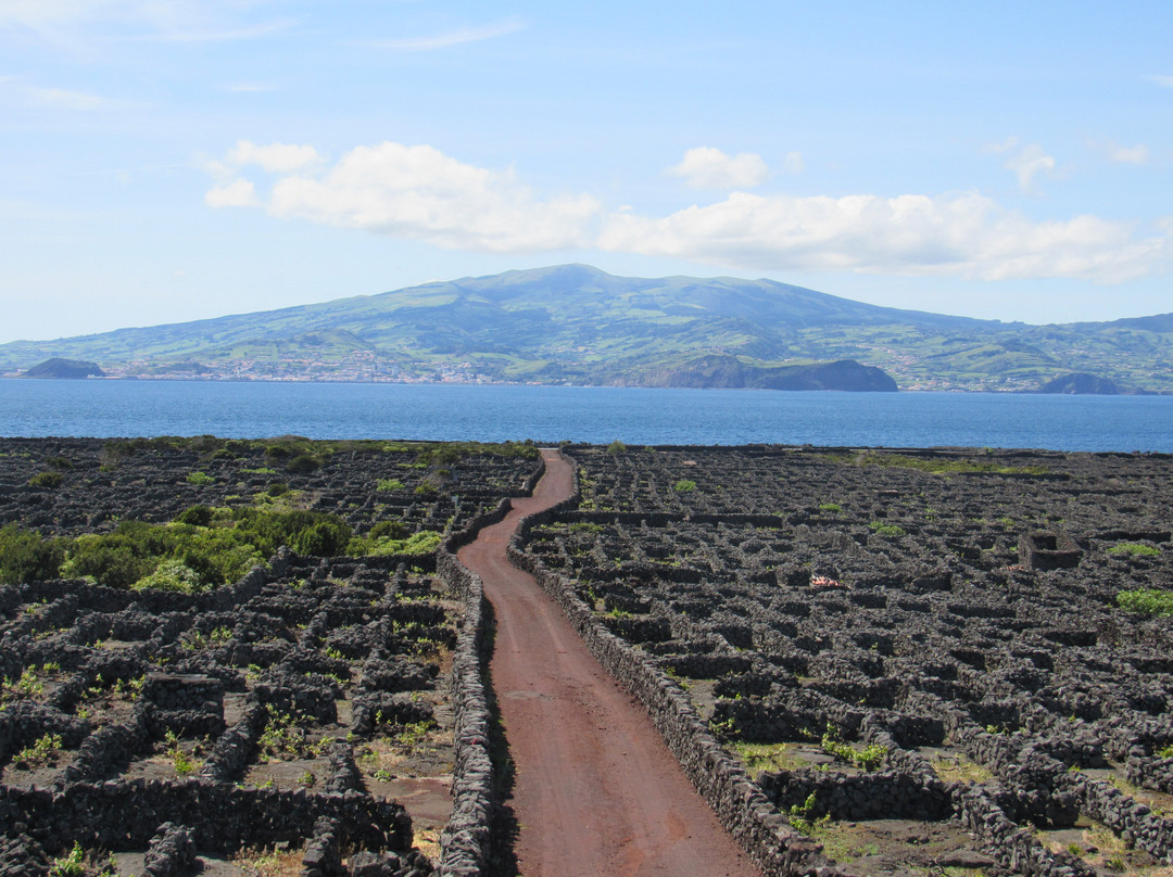 E’z Taxi Pico Island