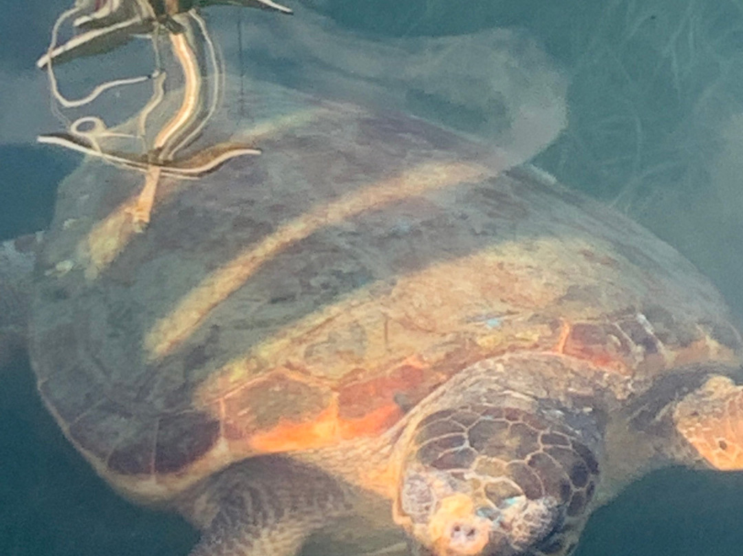 Zografakis Travel-Argassi必去景点