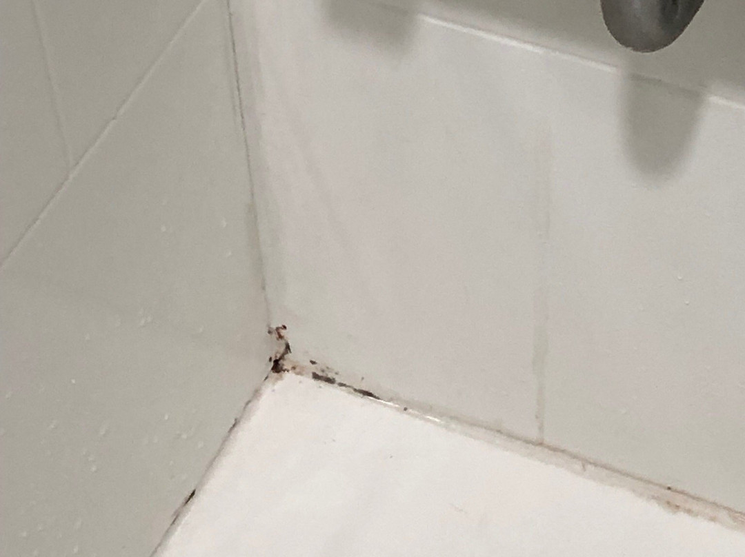 Baymont by Wyndham Clarksville Northeast主图