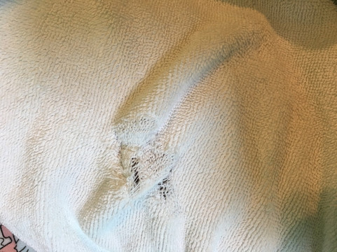 Ban Phing Phu Phraew Resort主图