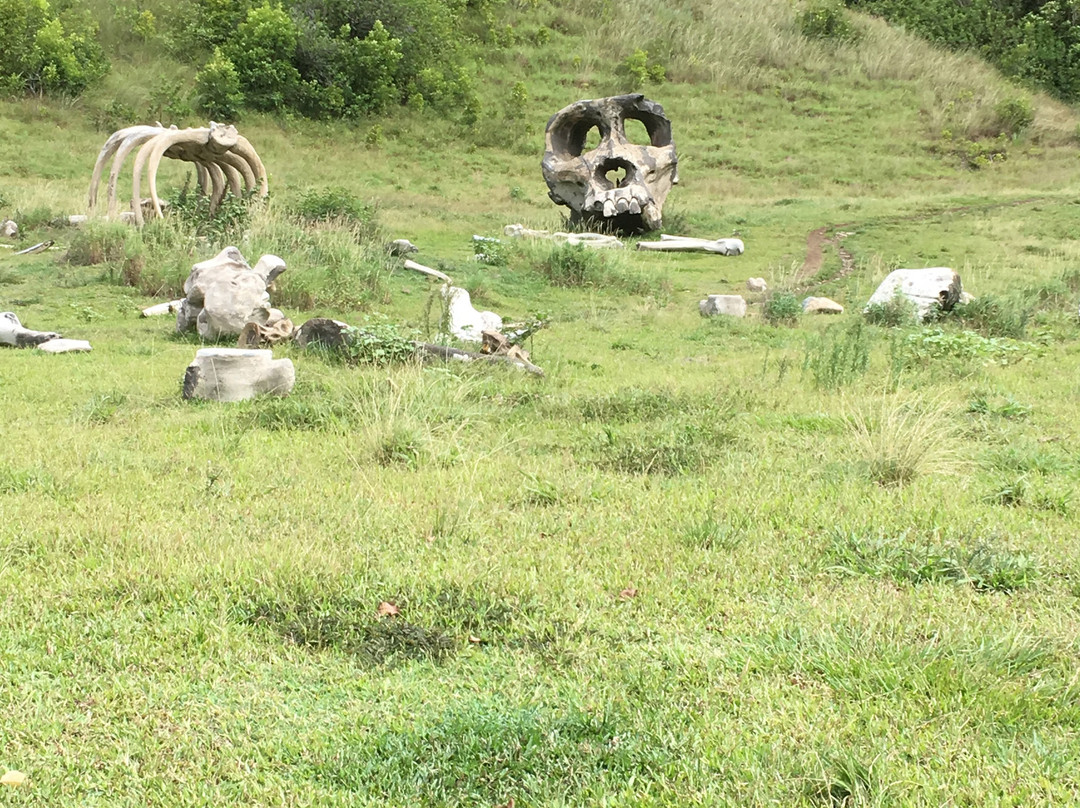 Ahupua'a O Kahana State Park-卡阿瓦必去景点