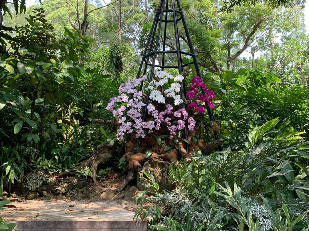 Botanical Garden-文冬必去景点
