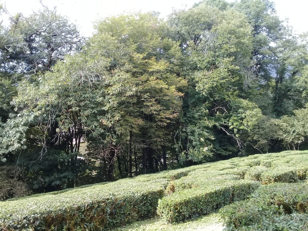 House-Museum of Koshman景点图片