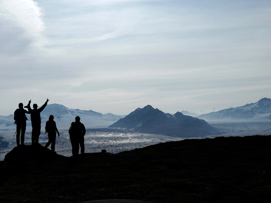 Kenai Backcountry Adventures-苏厄德必去景点