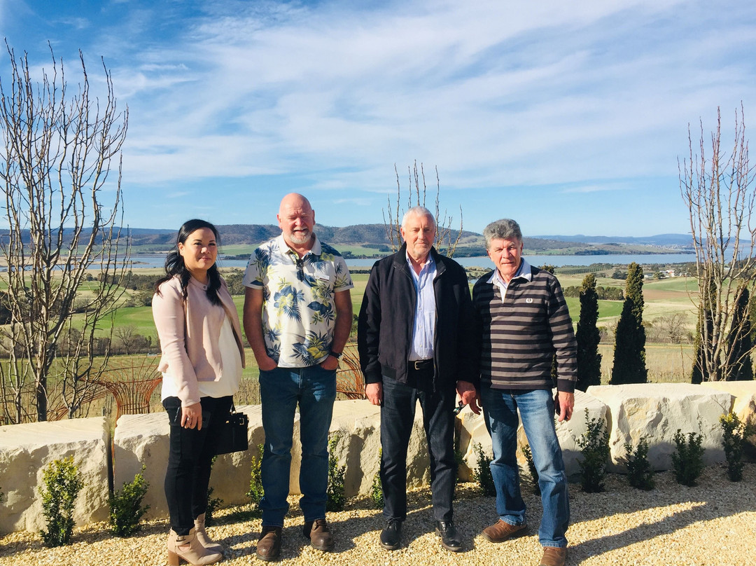 StelaVino Guided Wine Tours景点图片