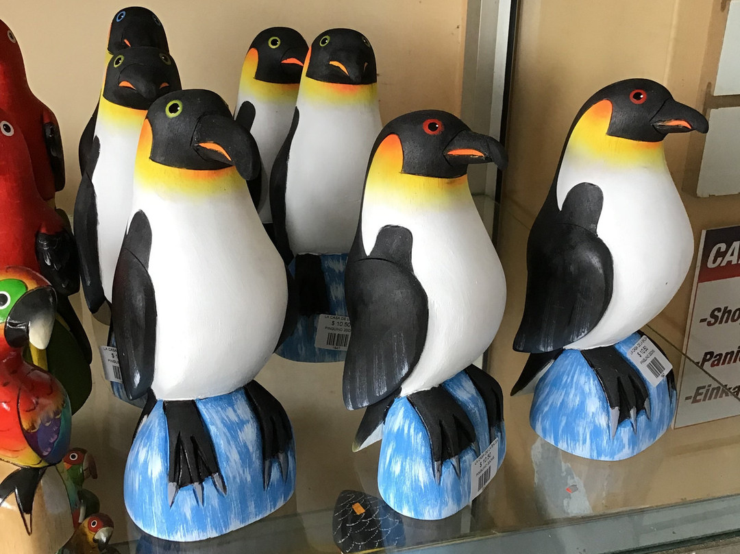 Casa della balsa-Puyo必去景点