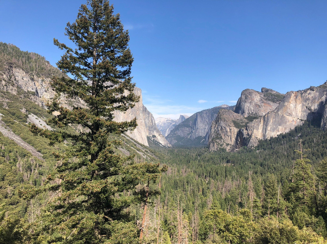 Yosemite Close Up Tours-马里波萨必去景点
