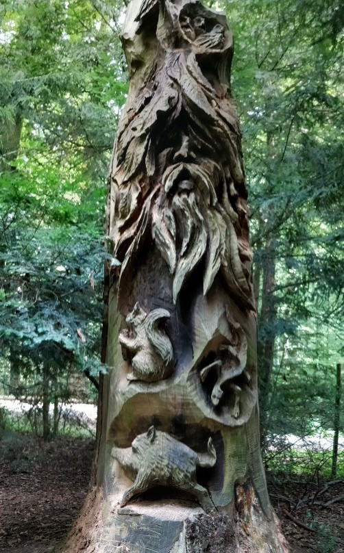 Arboretum Exotenwald景点图片