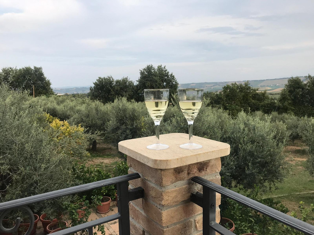 Agriturismo Olivuccia主图