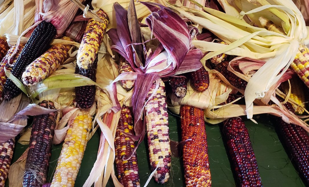 Riverview Farm-Plainfield必去景点