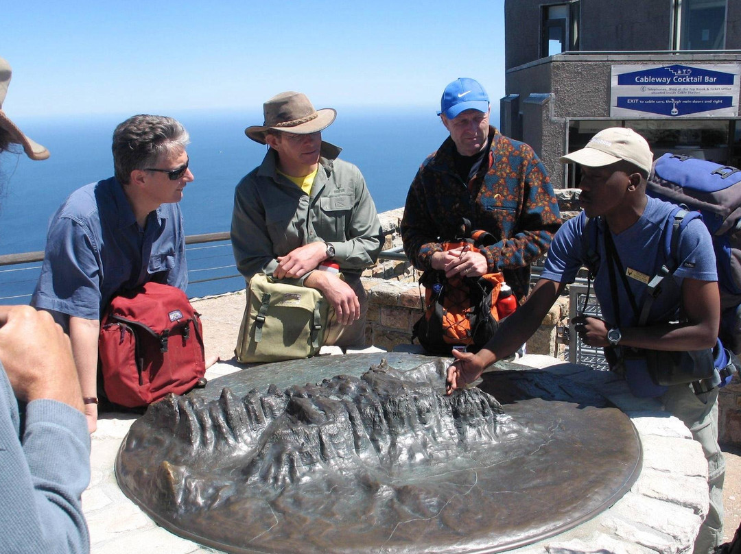 Bantu Safaris Southern Africa-开普敦中心区必去景点
