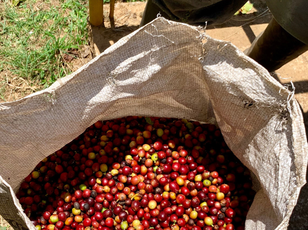 Finca Hotel Los Arrayanes主图