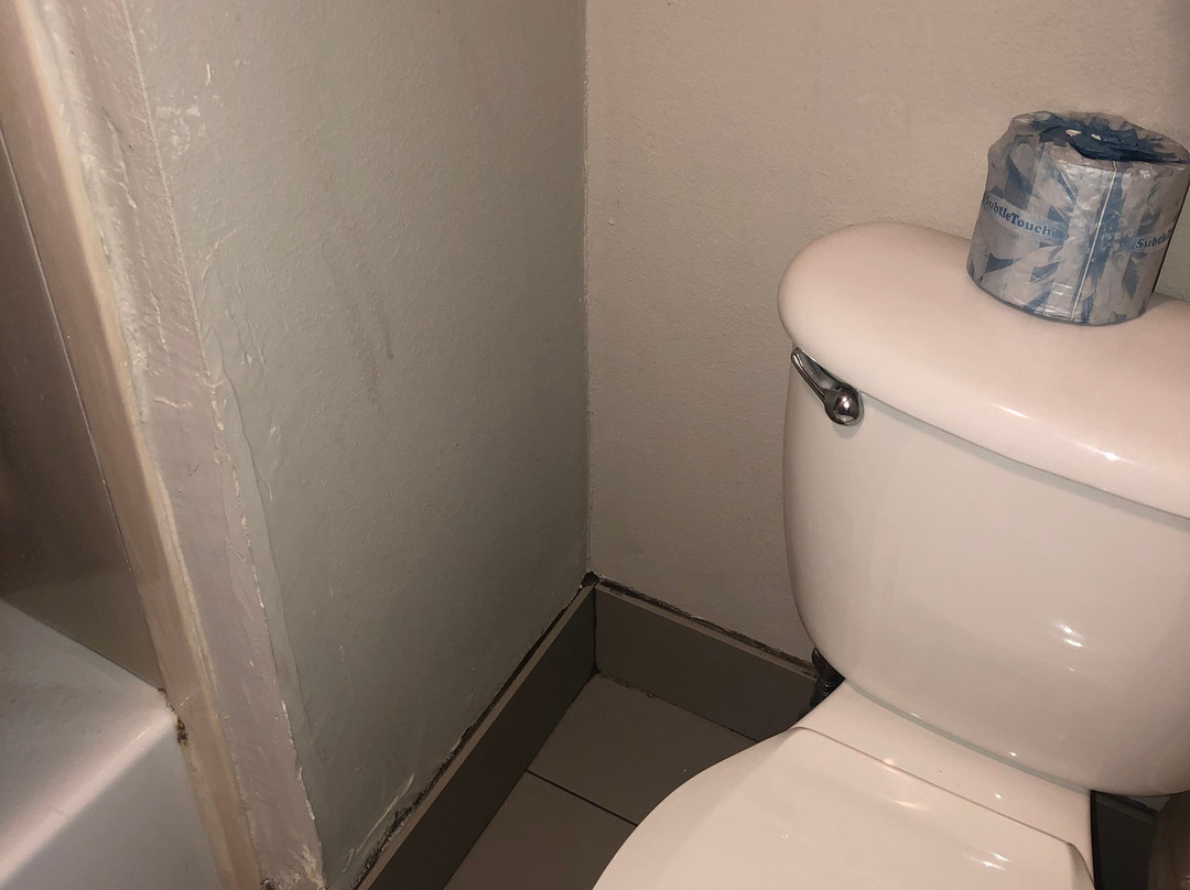 La Quinta by Wyndham Jackson Airport主图