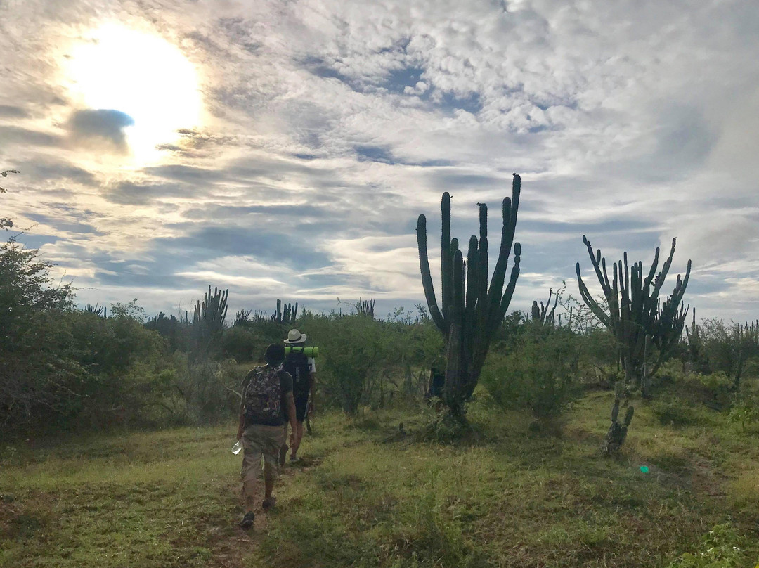 Tocayá Natura-Villavieja必去景点