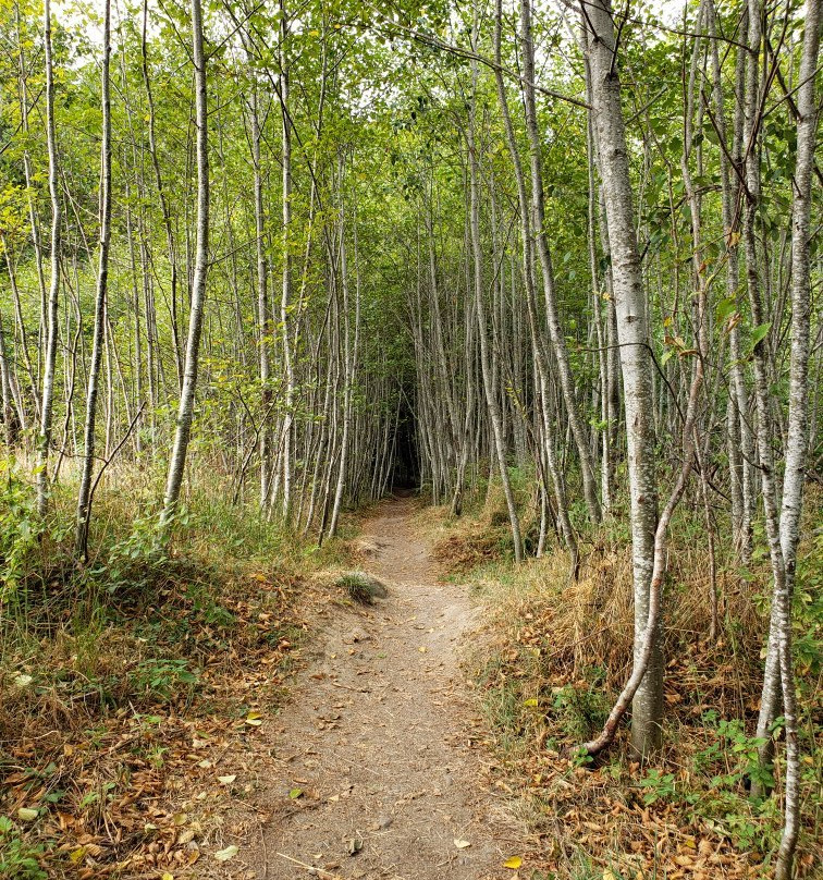 Mt Erskine Provincial Park景点图片