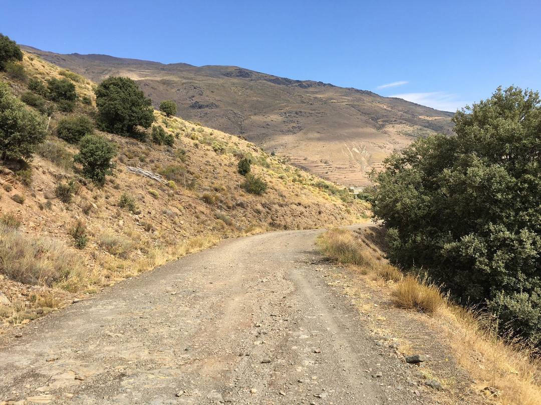 Alpujarra Bikes景点图片