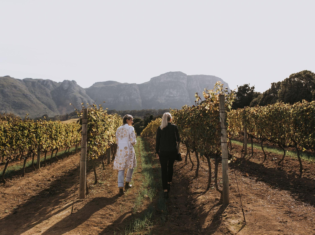 ROCK PAPER TRAVEL-康士坦提亚必去景点