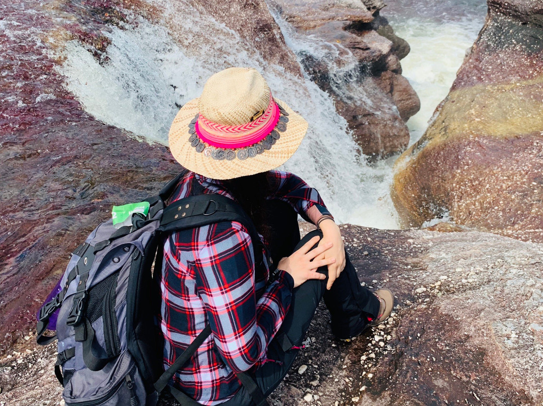 Jardin Botanico de la Macarena-La Macarena必去景点